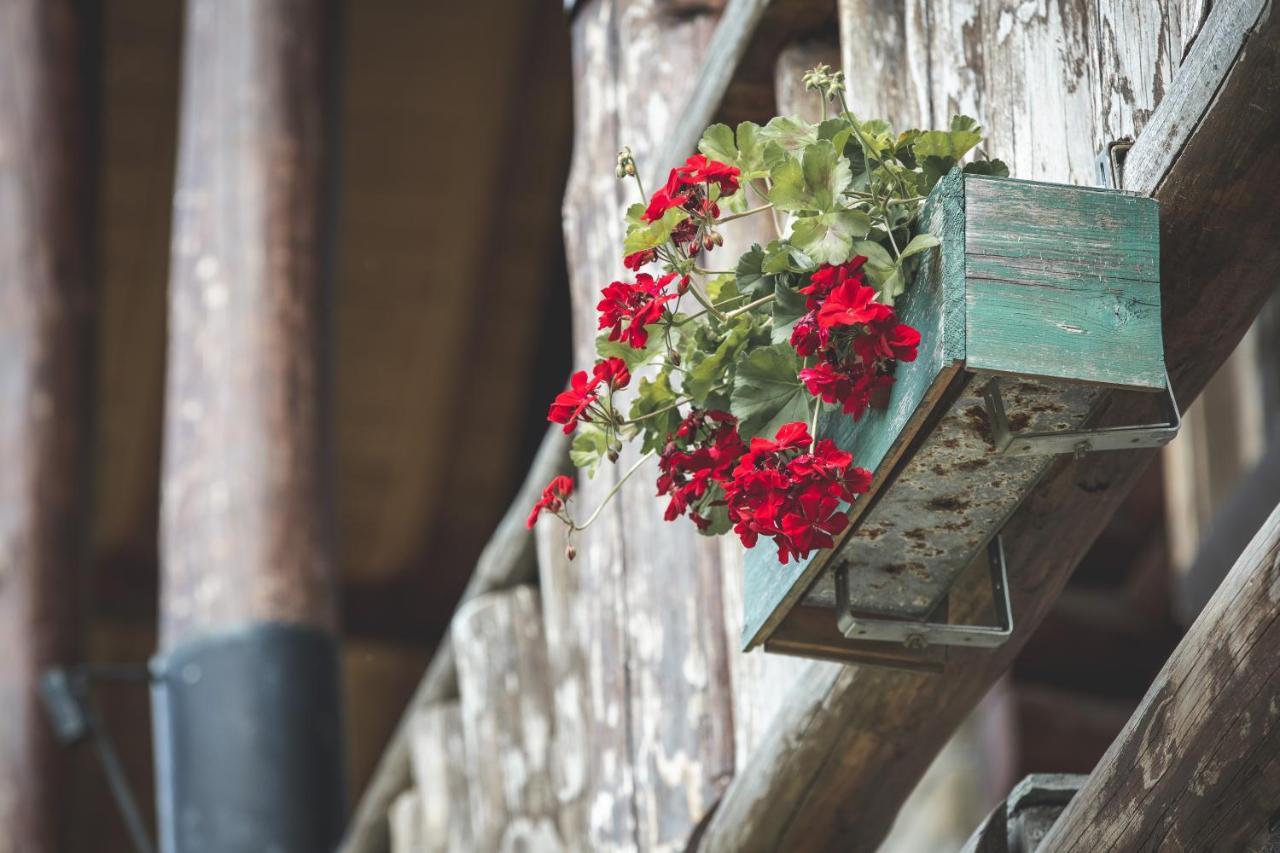 Sfendamos Wood Village Naousa  Zewnętrze zdjęcie
